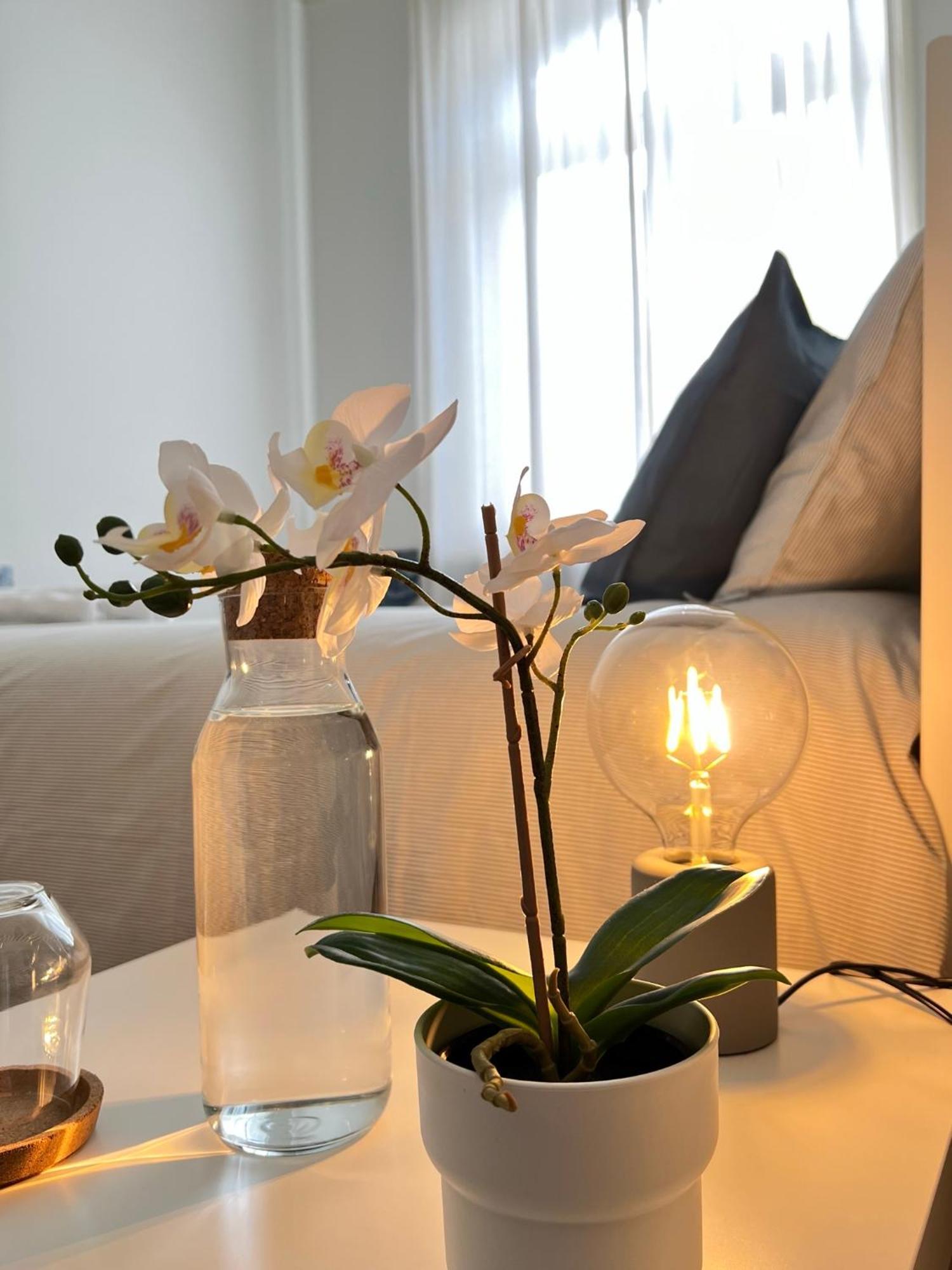 Spacious Historic Room On Rua Augusta — Photos 2
